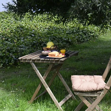 Olea & Multidisciplinary Space