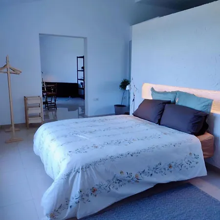 Olea & Multidisciplinary Space Apartment