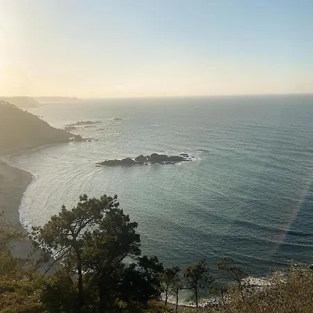 Olea & Multidisciplinary Space * Piedras Blancas