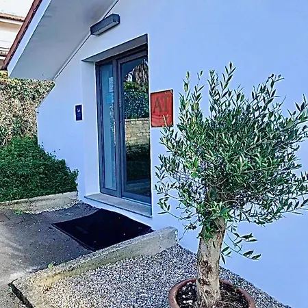 Olea & Multidisciplinary Space 피에드라스 블랑카스