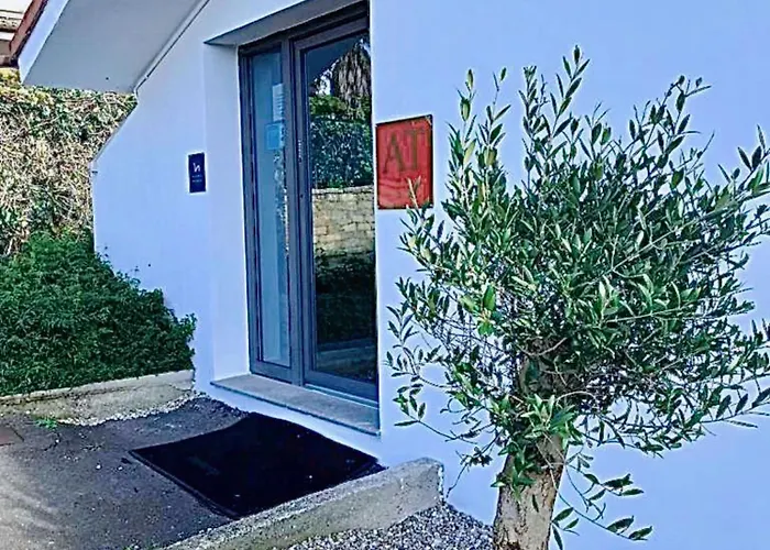 Olea & Multidisciplinary Space Piedras Blancas